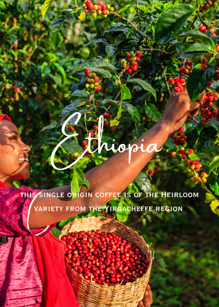 Ethiopia Yirgacheffe