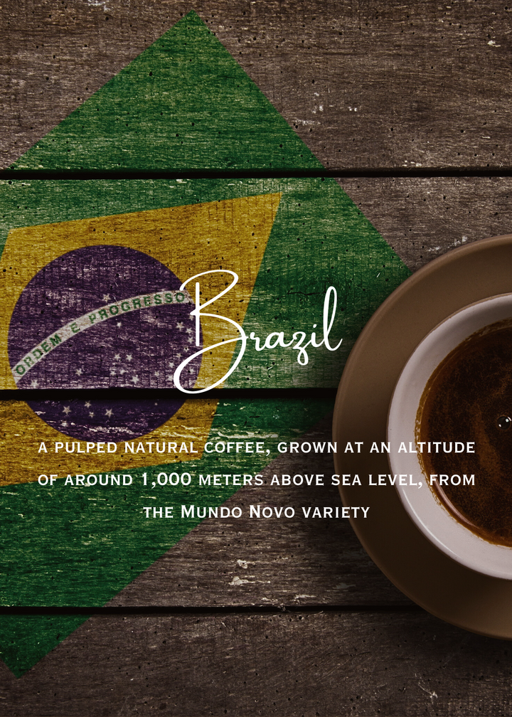 Brazil Fazenda Pinhal