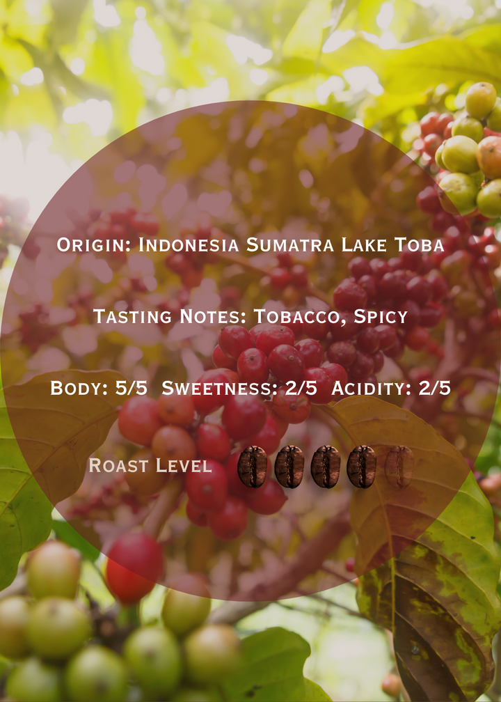 Indonesia Sumatra Lake Toba