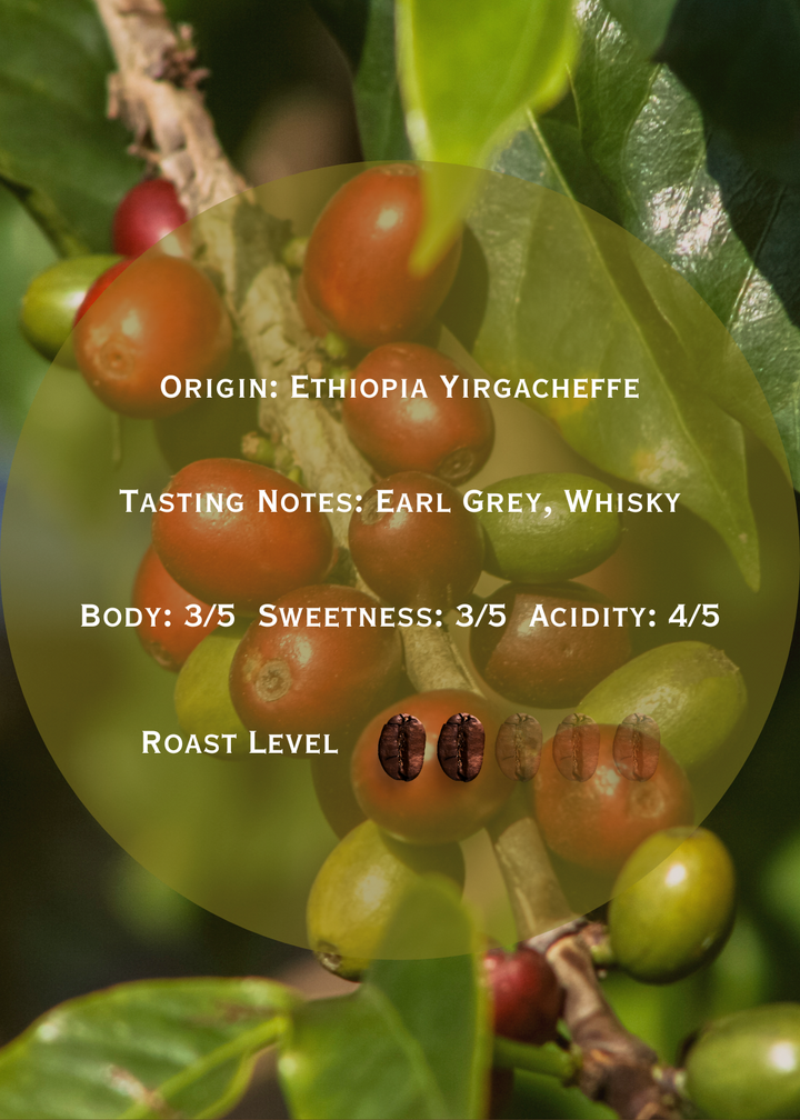 Ethiopia Yirgacheffe